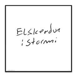 Elskendur í stormi