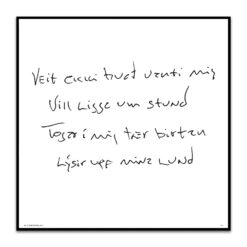 Veit ekki hvað vakti mig (erindi)